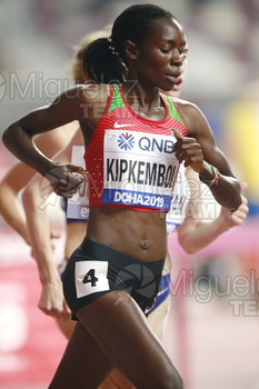 ATLETISMO: Campeonato del Mundo Absoluto al Aire Libre (Doha) 2019.