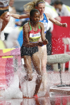 ATLETISMO: Campeonato del Mundo Absoluto al Aire Libre (Doha) 2019.