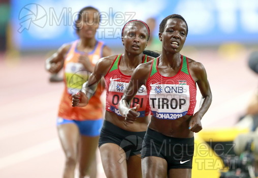 ATLETISMO: Campeonato del Mundo Absoluto al Aire Libre (Doha) 2019.