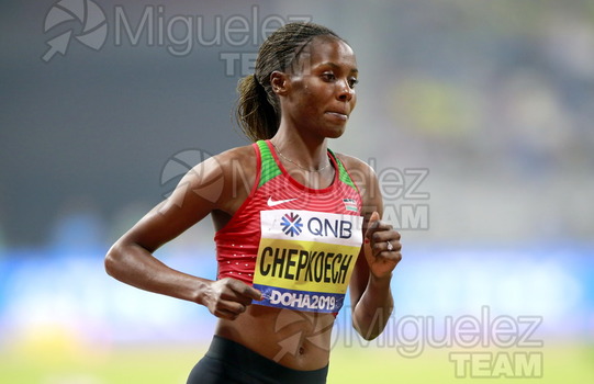 ATLETISMO: Campeonato del Mundo Absoluto al Aire Libre (Doha) 2019.