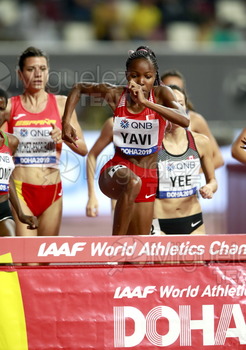 ATLETISMO: Campeonato del Mundo Absoluto al Aire Libre (Doha) 2019.