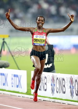 ATLETISMO: Campeonato del Mundo Absoluto al Aire Libre (Doha) 2019.
