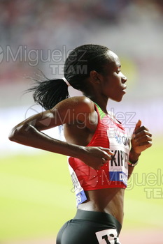 ATLETISMO: Campeonato del Mundo Absoluto al Aire Libre (Doha) 2019.