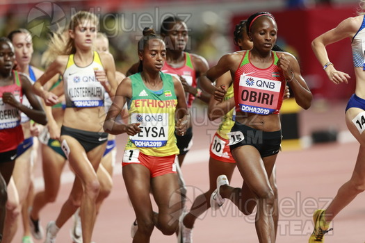 ATLETISMO: Campeonato del Mundo Absoluto al Aire Libre (Doha) 2019.