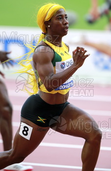 ATLETISMO: Campeonato del Mundo Absoluto al Aire Libre (Doha) 2019.
