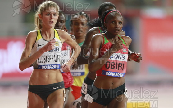 ATLETISMO: Campeonato del Mundo Absoluto al Aire Libre (Doha) 2019.