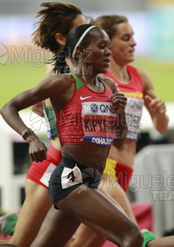 ATLETISMO: Campeonato del Mundo Absoluto al Aire Libre (Doha) 2019.