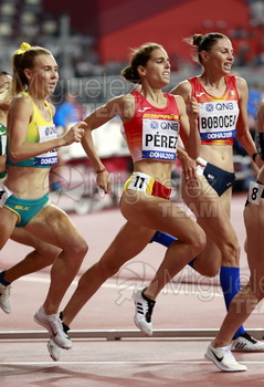 ATLETISMO: Campeonato del Mundo Absoluto al Aire Libre (Doha) 2019.