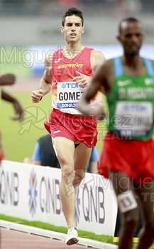 ATLETISMO: Campeonato del Mundo Absoluto al Aire Libre (Doha) 2019.
