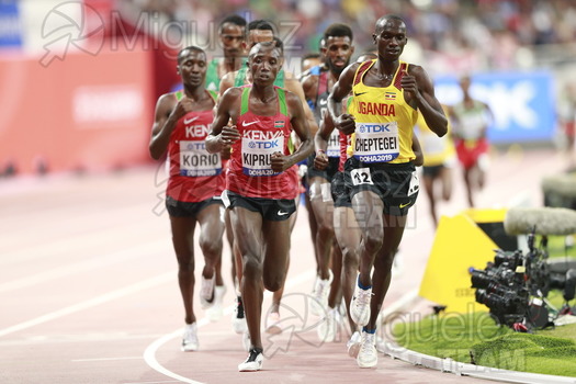 ATLETISMO: Campeonato del Mundo Absoluto al Aire Libre (Doha) 2019.