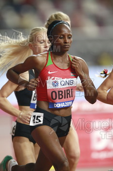 ATLETISMO: Campeonato del Mundo Absoluto al Aire Libre (Doha) 2019.