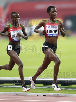 ATLETISMO: Campeonato del Mundo Absoluto al Aire Libre (Doha) 2019.