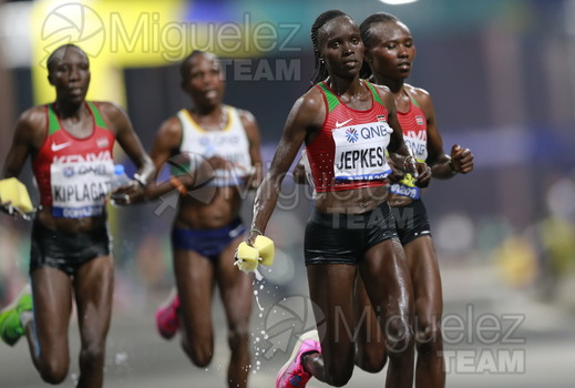 ATLETISMO: Campeonato del Mundo Absoluto al Aire Libre (Doha) 2019.