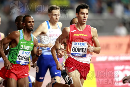 ATLETISMO: Campeonato del Mundo Absoluto al Aire Libre (Doha) 2019.