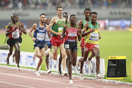 ATLETISMO: Campeonato del Mundo Absoluto al Aire Libre (Doha) 2019.
