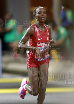ATLETISMO: Campeonato del Mundo Absoluto al Aire Libre (Doha) 2019.