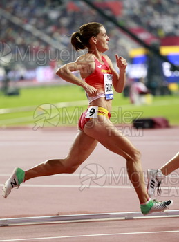 ATLETISMO: Campeonato del Mundo Absoluto al Aire Libre (Doha) 2019.