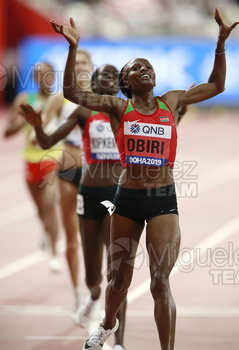 ATLETISMO: Campeonato del Mundo Absoluto al Aire Libre (Doha) 2019.