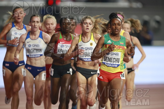 ATLETISMO: Campeonato del Mundo Absoluto al Aire Libre (Doha) 2019.