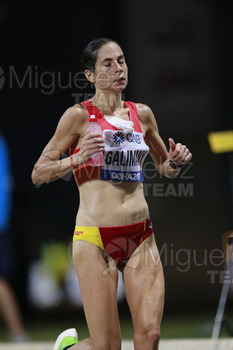 ATLETISMO: Campeonato del Mundo Absoluto al Aire Libre (Doha) 2019.