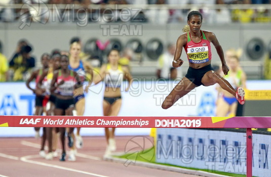 ATLETISMO: Campeonato del Mundo Absoluto al Aire Libre (Doha) 2019.