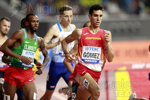 ATLETISMO: Campeonato del Mundo Absoluto al Aire Libre (Doha) 2019.