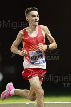 ATLETISMO: Campeonato del Mundo Absoluto al Aire Libre (Doha) 2019.