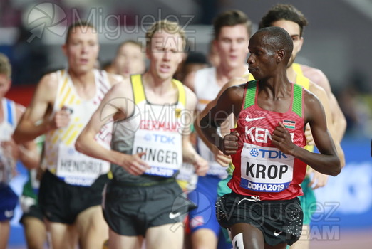 ATLETISMO: Campeonato del Mundo Absoluto al Aire Libre (Doha) 2019.