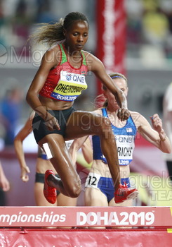 ATLETISMO: Campeonato del Mundo Absoluto al Aire Libre (Doha) 2019.
