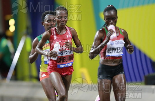 ATLETISMO: Campeonato del Mundo Absoluto al Aire Libre (Doha) 2019.