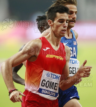 ATLETISMO: Campeonato del Mundo Absoluto al Aire Libre (Doha) 2019.