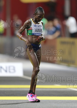 ATLETISMO: Campeonato del Mundo Absoluto al Aire Libre (Doha) 2019.