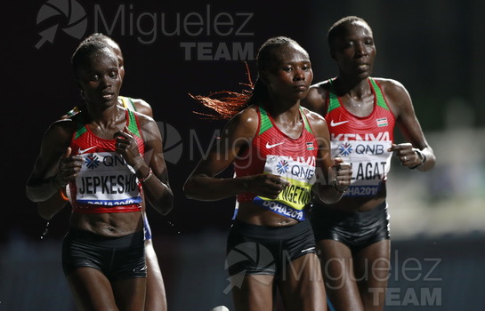 ATLETISMO: Campeonato del Mundo Absoluto al Aire Libre (Doha) 2019.