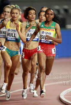 ATLETISMO: Campeonato del Mundo Absoluto al Aire Libre (Doha) 2019.