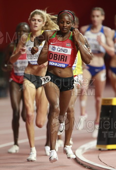 ATLETISMO: Campeonato del Mundo Absoluto al Aire Libre (Doha) 2019.