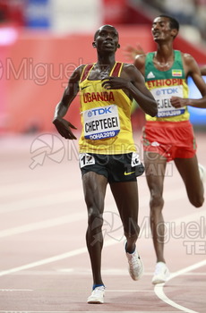 ATLETISMO: Campeonato del Mundo Absoluto al Aire Libre (Doha) 2019.