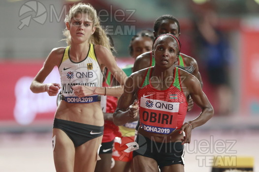 ATLETISMO: Campeonato del Mundo Absoluto al Aire Libre (Doha) 2019.