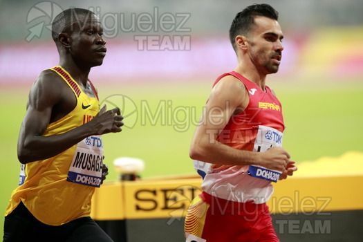 ATLETISMO: Campeonato del Mundo Absoluto al Aire Libre (Doha) 2019.
