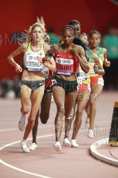 ATLETISMO: Campeonato del Mundo Absoluto al Aire Libre (Doha) 2019.