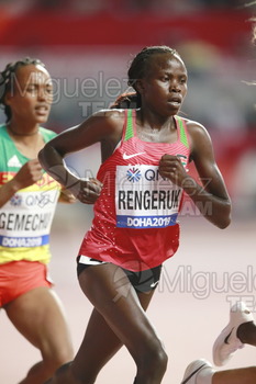 ATLETISMO: Campeonato del Mundo Absoluto al Aire Libre (Doha) 2019.