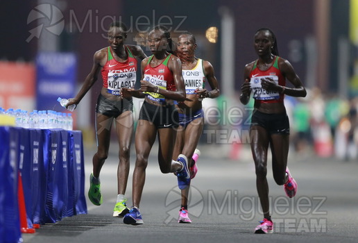 ATLETISMO: Campeonato del Mundo Absoluto al Aire Libre (Doha) 2019.