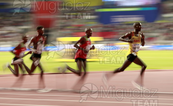 ATLETISMO: Campeonato del Mundo Absoluto al Aire Libre (Doha) 2019.