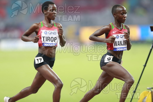 ATLETISMO: Campeonato del Mundo Absoluto al Aire Libre (Doha) 2019.