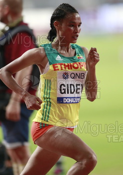 ATLETISMO: Campeonato del Mundo Absoluto al Aire Libre (Doha) 2019.