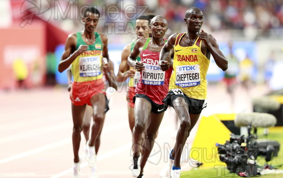ATLETISMO: Campeonato del Mundo Absoluto al Aire Libre (Doha) 2019.