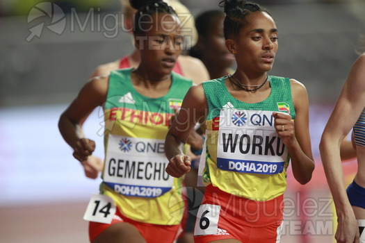 ATLETISMO: Campeonato del Mundo Absoluto al Aire Libre (Doha) 2019.