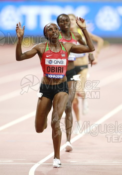 ATLETISMO: Campeonato del Mundo Absoluto al Aire Libre (Doha) 2019.