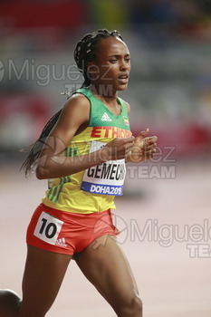 ATLETISMO: Campeonato del Mundo Absoluto al Aire Libre (Doha) 2019.