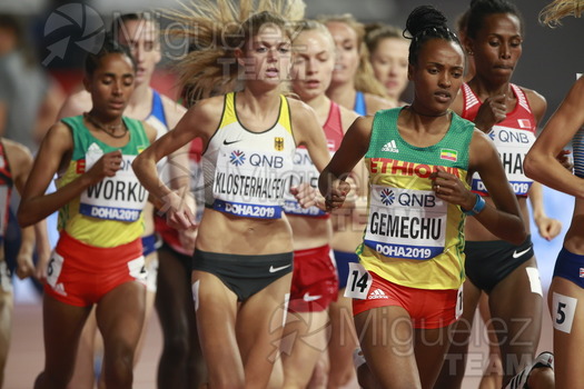 ATLETISMO: Campeonato del Mundo Absoluto al Aire Libre (Doha) 2019.