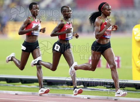 ATLETISMO: Campeonato del Mundo Absoluto al Aire Libre (Doha) 2019.